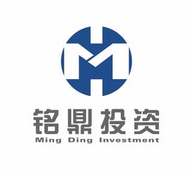 投資咨詢管理 智慧之眼，財(cái)富之門——打造專業(yè)企業(yè)Logo